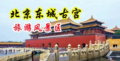 狂插黑丝美眉屁眼啪啪中国北京-东城古宫旅游风景区